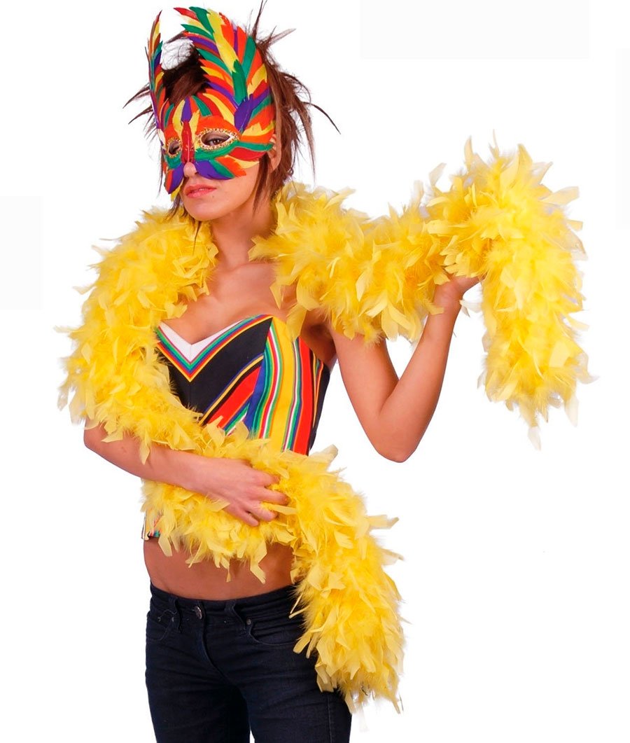 Chica con una boa de plumas amarilla alrededor del cuello. Además lleva un antifaz de plumas de colores a juego con el top.